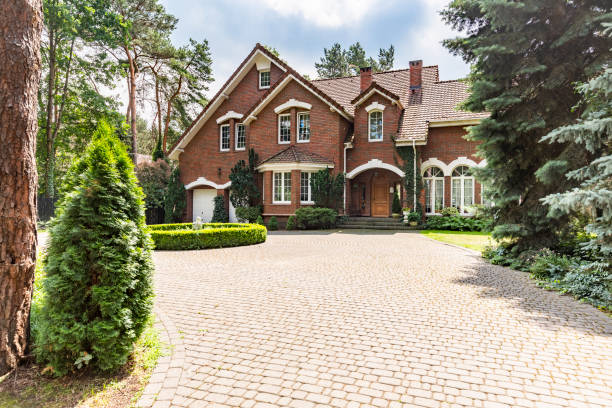 Best Decorative Driveway Pavers  in Cabool, MO