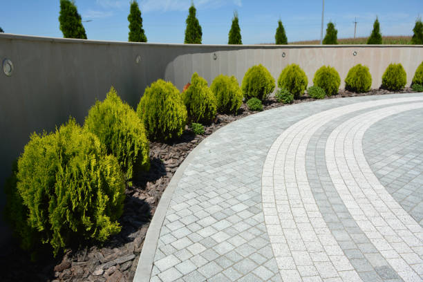 Best Driveway Repair Near Me  in Cabool, MO